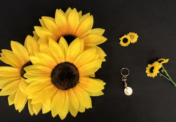 Visit our Sunflower shop